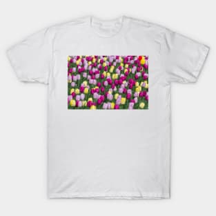 Solely Tulips, Meersburg - Lake Constance T-Shirt